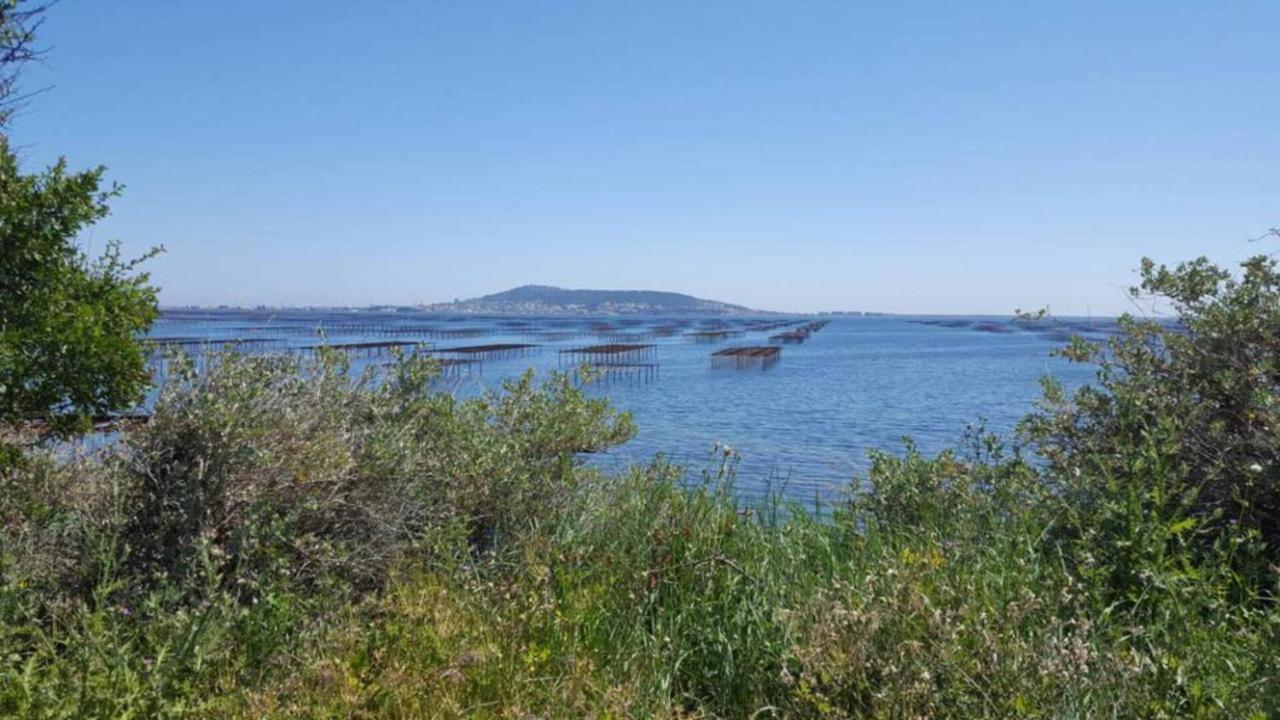 Romantic Maison De Pecheur Sparkling Sea Views Mèze Екстериор снимка